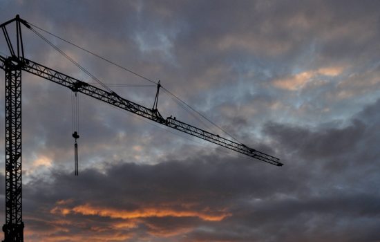 Cranes-at-Dawn-Picture-001