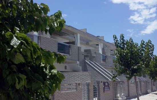 IMAGEN1