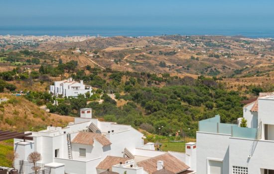 La FLoresta Sur-37.jpg