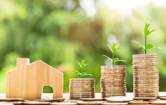 property market rise