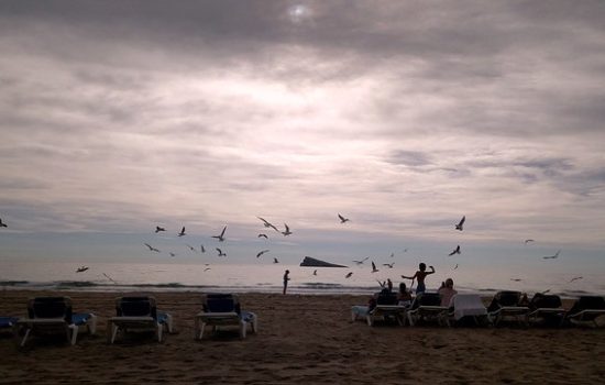 ultimate guide to purchase in Spain
